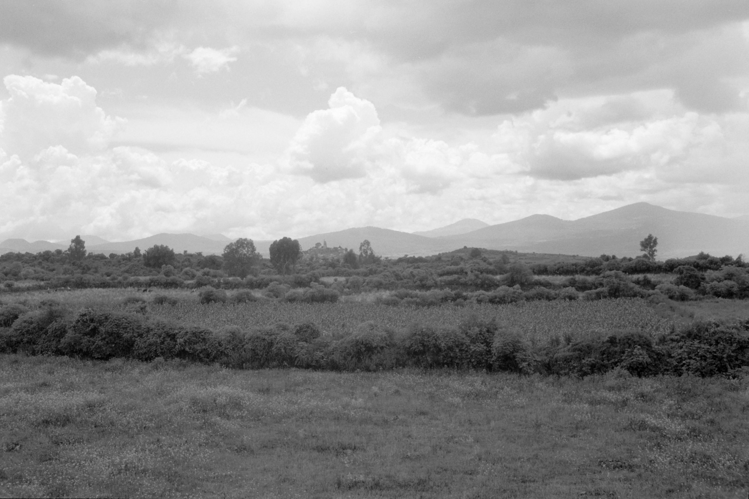 AHP FilmScan 240807 0495